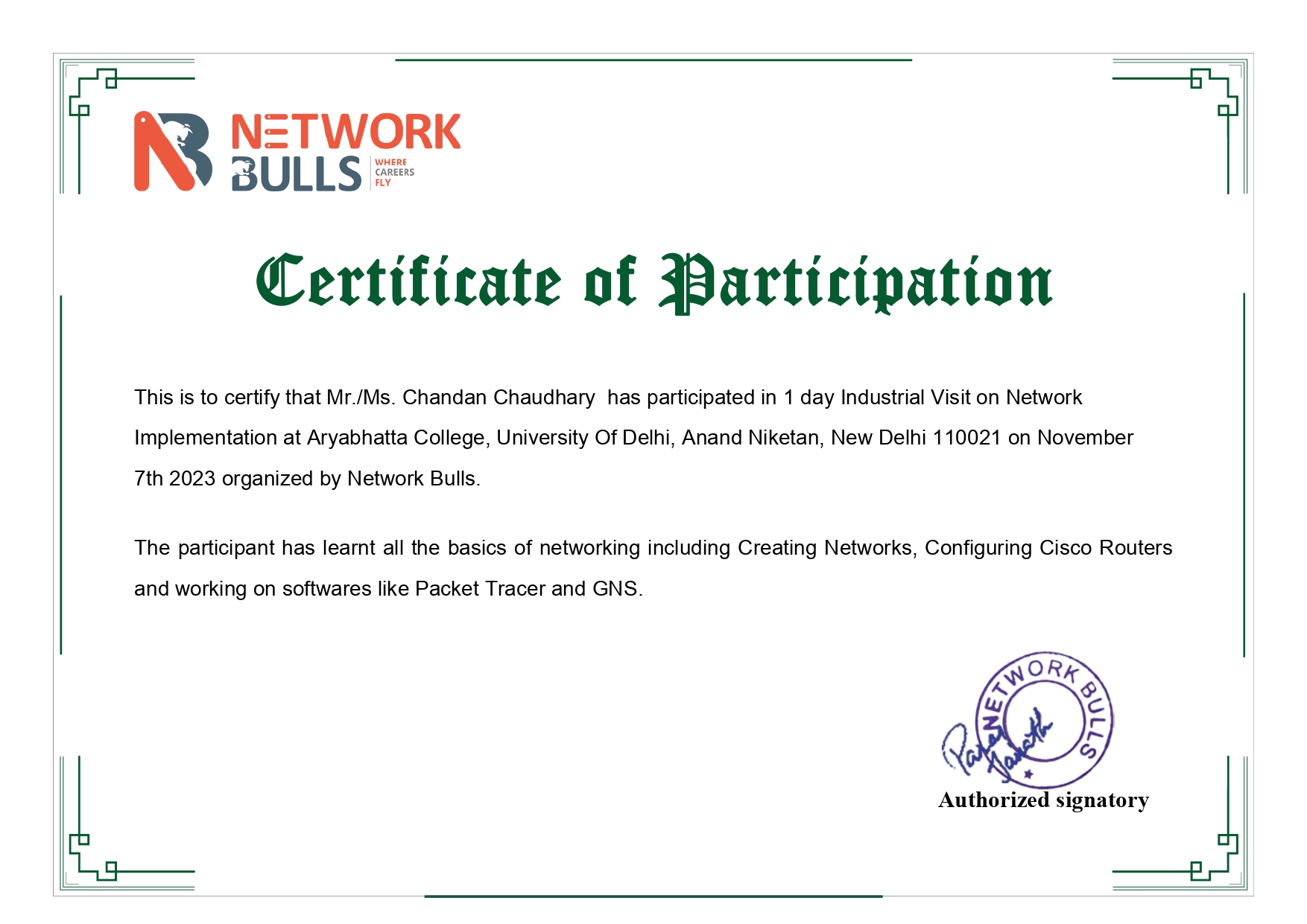 Network Bulls
